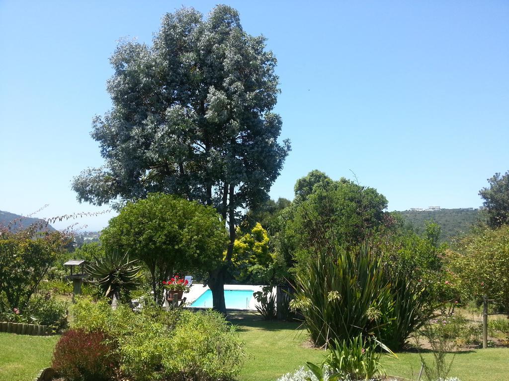 Piesang Valley Lodge Plettenberg Bay Δωμάτιο φωτογραφία