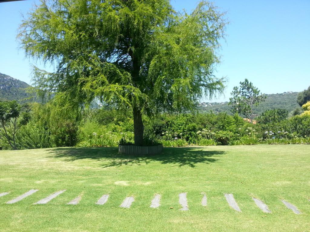 Piesang Valley Lodge Plettenberg Bay Δωμάτιο φωτογραφία