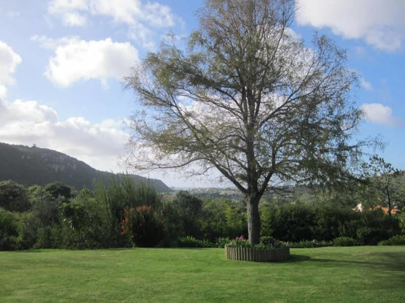Piesang Valley Lodge Plettenberg Bay Εξωτερικό φωτογραφία